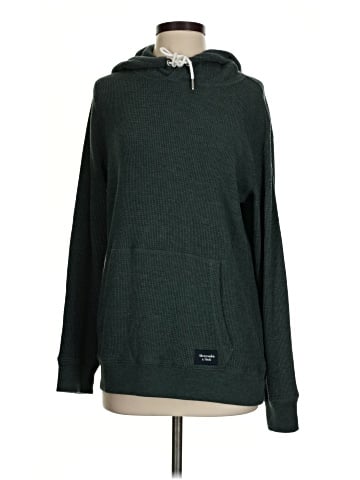 Abercrombie & Fitch Pullover Hoodie (view 1)