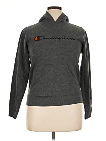 Champion Sweatshirt (view 1)
