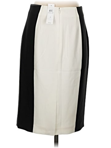 Ann Taylor Formal Skirt (view 2)