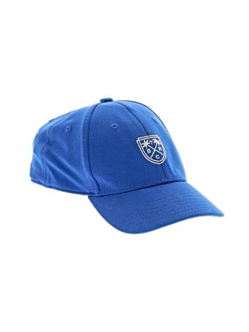 Under Armour Baseball Cap (view 1)