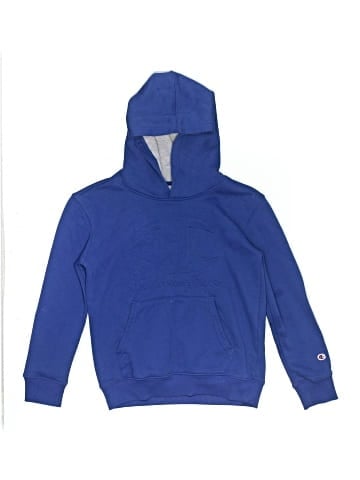 Champion Pullover Hoodie (view 1)