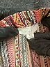 Easel Print Brown Casual Dress Size M - photo 7