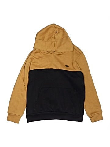Tony Hawk Pullover Hoodie (view 1)