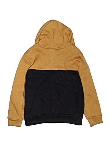 Tony Hawk Pullover Hoodie (view 2)