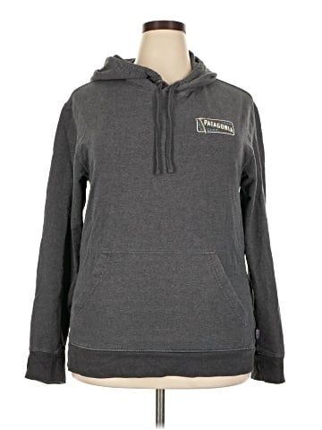 Patagonia Pullover Hoodie (view 1)