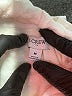 J.Crew Factory Store 100% Polyester Ivory Pullover Hoodie Size M - photo 7