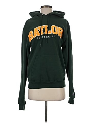 Champion Sweatshirt (view 1)