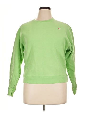 Champion Sweatshirt (view 1)