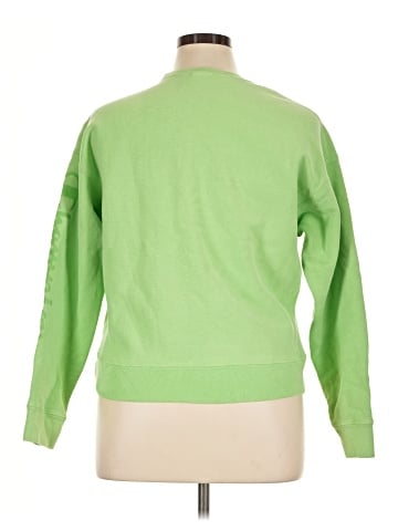 Champion Sweatshirt (view 2)