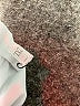 Unbranded Floral Gray Pink Casual Skirt Size 2X - photo 4