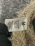 Madden Girl Tan Cardigan Size M - photo 8