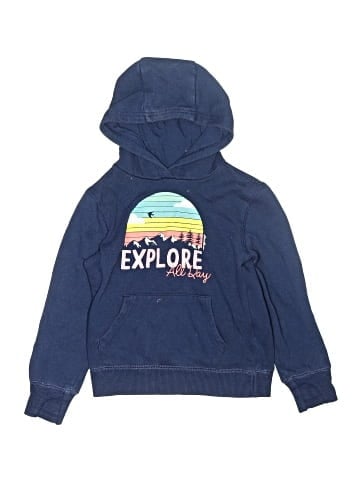 Eddie Bauer Pullover Hoodie (view 1)