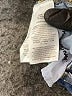 Boden Blue Jeans Size 8 (petite) - photo 5