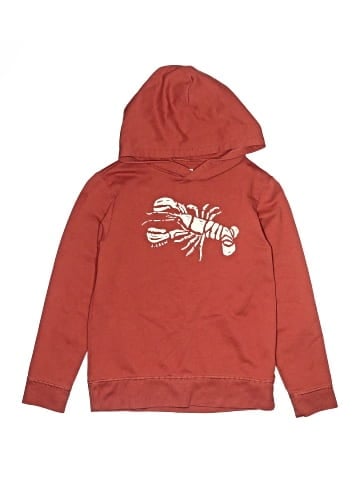 Crewcuts Outlet Pullover Hoodie (view 1)