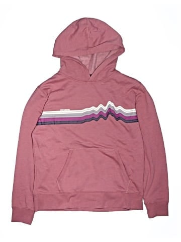 Patagonia Pullover Hoodie (view 1)