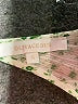 Olivaceous 100% Rayon Hearts Green Jumpsuit Size S - photo 4