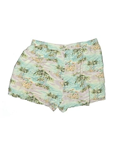 American Eagle Outfitters Shorts (view 2)