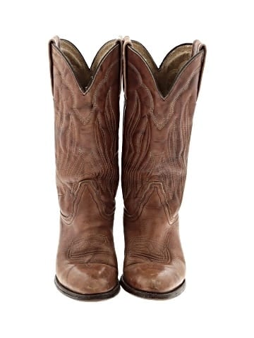 FRYE Boots (view 2)