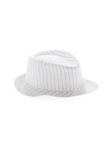 Unbranded Fedora (view 1)