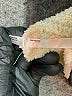 Soma 100% Polyester Ivory Pullover Sweater Size XL - photo 8