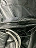 Elizabeth and James Metallic Black Shorts Size 10 - photo 4