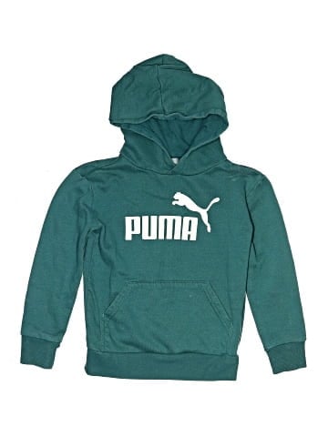 Puma Pullover Hoodie (view 1)