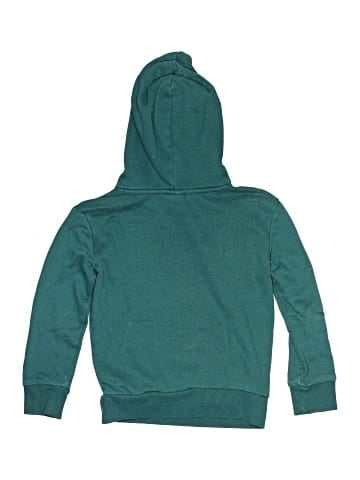 Puma Pullover Hoodie (view 2)