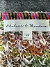 Chelsea & Theodore Tweed Green Pullover Sweater Size XS - photo 7