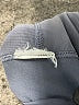 Calvin Klein Gray Active Pants Size S - photo 8