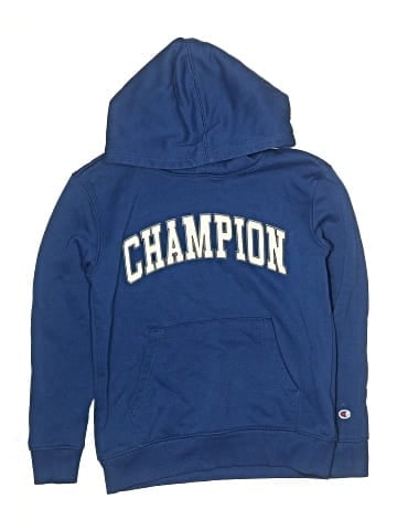 Champion Pullover Hoodie (view 1)