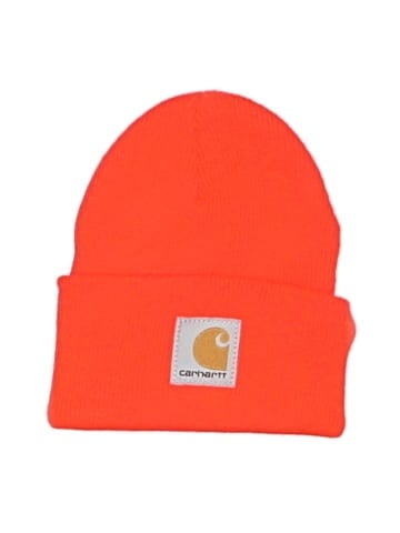 Carhartt Beanie (view 1)