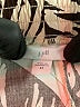J.Jill 100% Rayon Print Ivory Casual Pants Size 4X - photo 4
