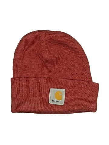 Carhartt Beanie (view 1)