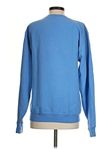 Champion Sweatshirt (view 2)