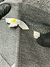 Boden Gray Active Pants Size 4 - photo 7