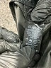 Shinestar Black Casual Pants Size M - photo 8