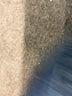 Talbots Outlet Blue Jeans Size 8 - photo 8