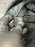 Tahari by ASL Stripes Black Blazer Size 12 Petite - photo 7