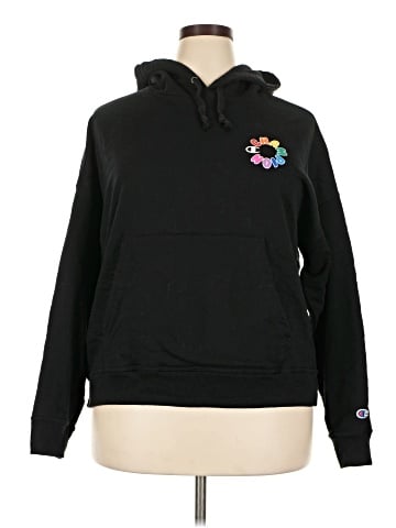 Champion Pullover Hoodie (view 1)