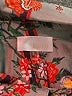 Ecru Paisley Gray Long Sleeve Blouse Size M - photo 6