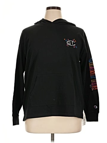 Champion Pullover Hoodie (view 1)