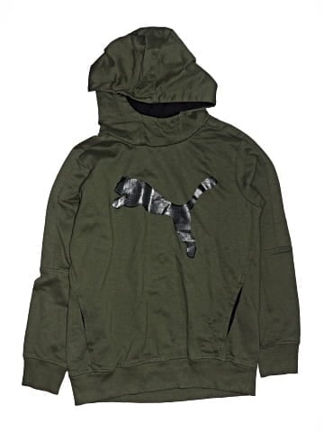 Puma Pullover Hoodie (view 1)