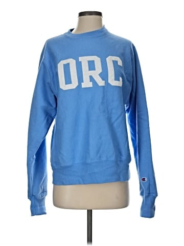 Champion Sweatshirt (view 1)