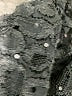 DressBarn Black Kimono Size 16 - photo 7
