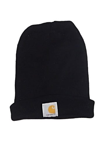 Carhartt Beanie (view 1)