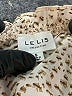 Le Lis 100% Polyester Animal Print Tan Romper Size S - photo 4