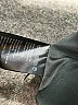 Bardot Solid Black Shorts Size 8 - photo 4