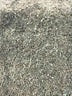 Nikibiki Gray Tank Top Size M - photo 4