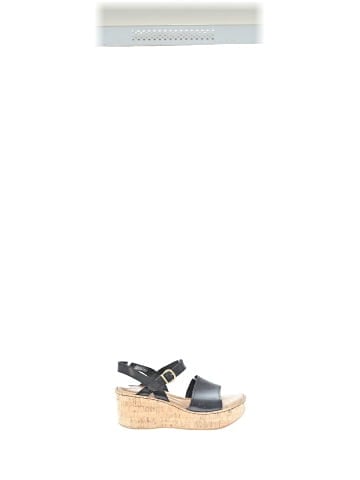 Born Wedges (view 1)