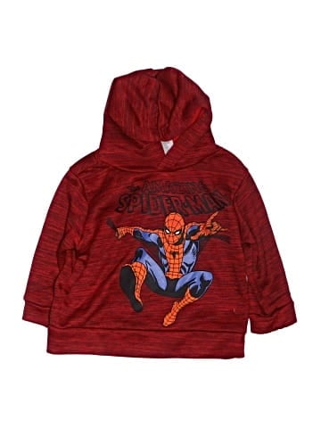 Marvel Pullover Hoodie (view 1)